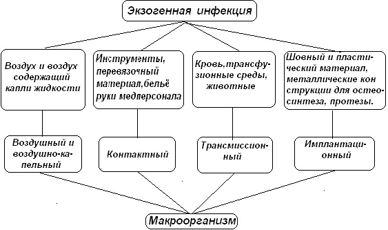 Пути распространения инфекций в лечебных учреждениях, ЛПУ, стационаре, хирургии. Способы, группы риска