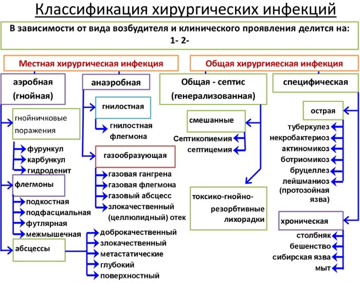 Пути распространения инфекций в лечебных учреждениях, ЛПУ, стационаре, хирургии. Способы, группы риска