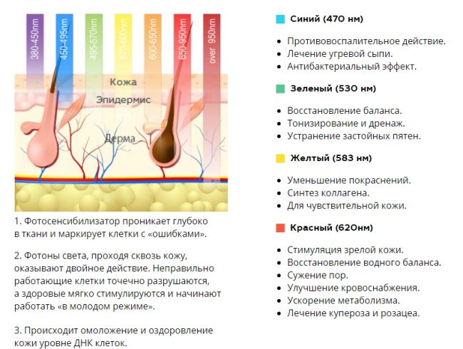 PUVA therapy (ПУВА-терапия). Что это такое от псориаза, алопеции, витилиго, расшифровка. Цена, отзывы