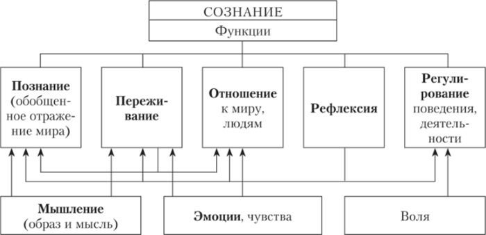 Сознание в психологии. Что это такое, функции, свойства, измененные состояния, проявления