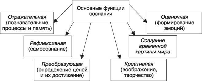 Сознание в психологии. Что это такое, функции, свойства, измененные состояния, проявления