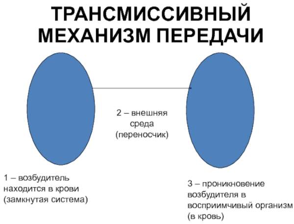 Трансмиссивный путь передачи инфекции, заражения. Как это, возбудители, заболевания