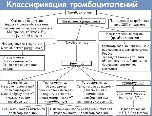 Тромбоцитопения. Причины возникновения у взрослых, беременных, что это такое, лечение