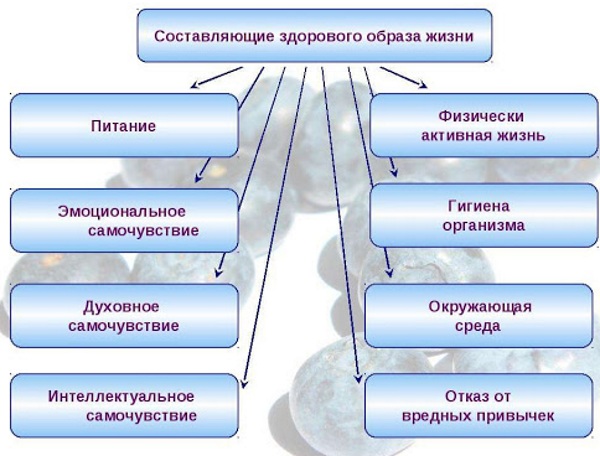 Уровни здоровья человека по ВОЗ биологический, психологический, генетический, эпигенетический