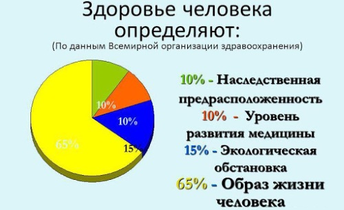 Уровни здоровья человека по ВОЗ биологический, психологический, генетический, эпигенетический