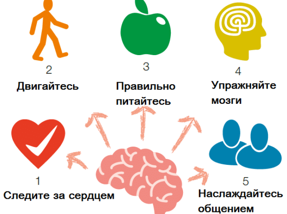 Слабоумие у взрослых. Диагноз, симптомы, признаки, лечение