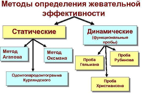 Жевательная эффективность по Агапову, Оксману. Что это такое, как считать, формула, примеры, норма