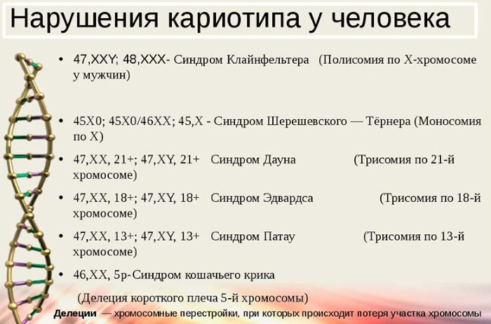 Анализ на кариотип (кариотипирование). Что это у супругов, подготовка, что показывает, цена