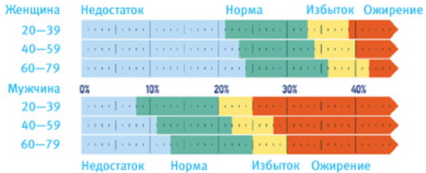 Анализ состава тела. Что это такое, как делают, цена, таблица норм, расшифровка