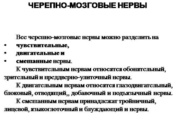 Черепно-мозговые нервы. Анатомия, что иннервируют, функции, заболевания