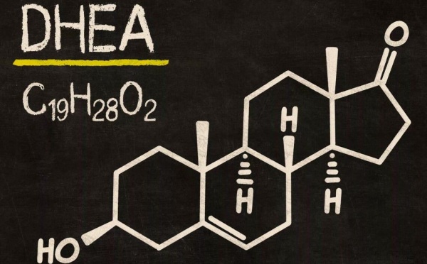 ДГЭА (дегидроэпиандростерон) сульфат. Норма у женщин, мужчин, повышен, понижен, когда сдавать