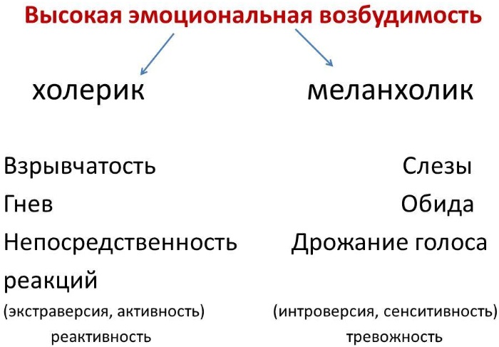 Эмоциональная возбудимость в психологии. Что это, определение повышенная, низкая