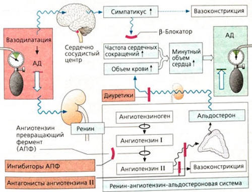 Эринит. Инструкция по применению, показания, цена, отзывы, аналоги