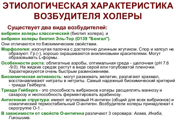 Холера у человека. Признаки, симптомы, причины и лечение