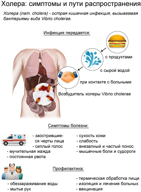 Холера у человека. Признаки, симптомы, причины и лечение