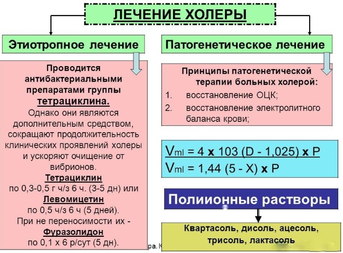 Холера у человека. Признаки, симптомы, причины и лечение