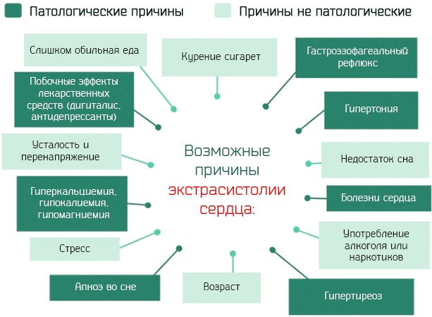 Нарушение ритма сердца. Что это такое, причины, симптомы и лечение у детей