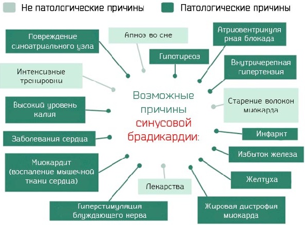 ЧДД и ЧСС у детей. Норма по возрасту, таблица