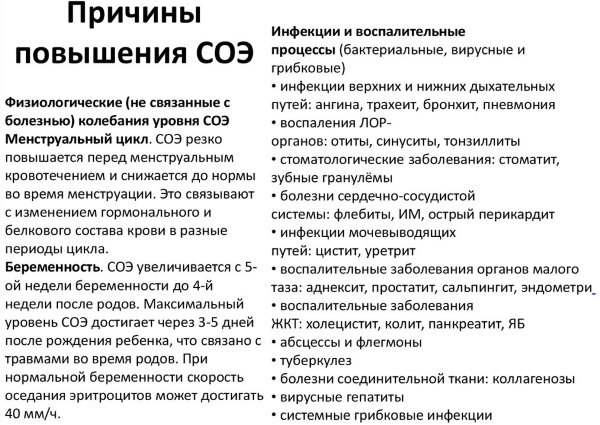 Оседание эритроцитов в крови. Норма по возрасту, при беременности, анализ из вены, пальца