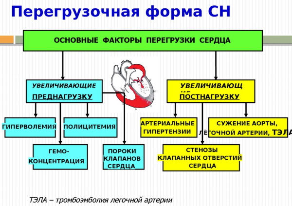 Схема лечения сердечной недостаточности