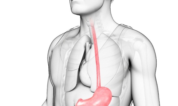 Проблемы с пищеводом. Симптомы и лечение, психосоматика
