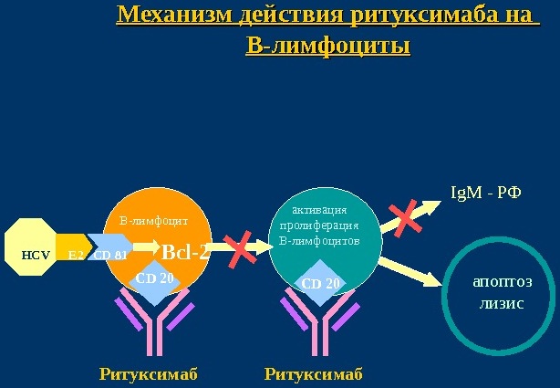 Ритуксимаб (Rituximab). Инструкция по применению, цена в России, аналоги