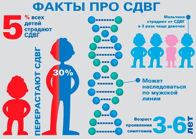 СДВГ (синдром дефицита внимания и гиперактивности) у детей. Что это такое, причины, симптомы и лечение