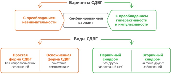 СДВГ (синдром дефицита внимания и гиперактивности) у детей. Что это такое, причины, симптомы и лечение