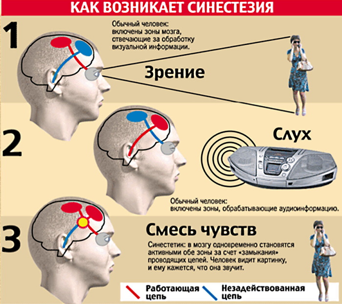 Синестезия в психологии. Что это такое, определение, примеры