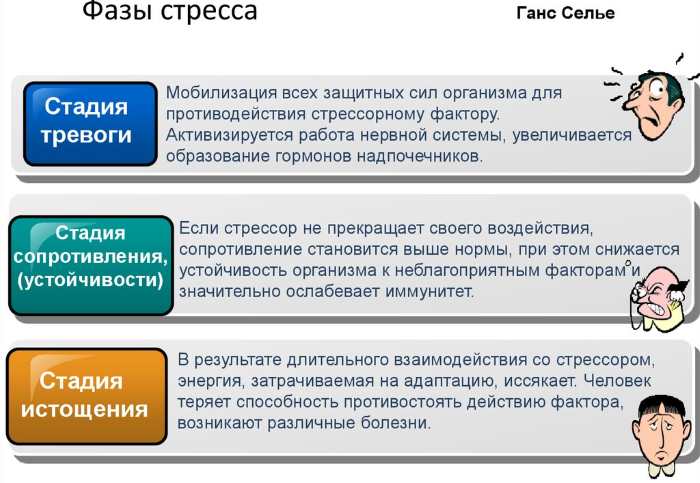 Стадии стресса в психологии. Что это такое по Селье, Торсунову, характеристика