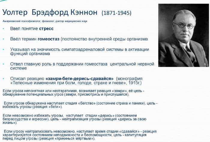 Стадии стресса в психологии. Что это такое по Селье, Торсунову, характеристика