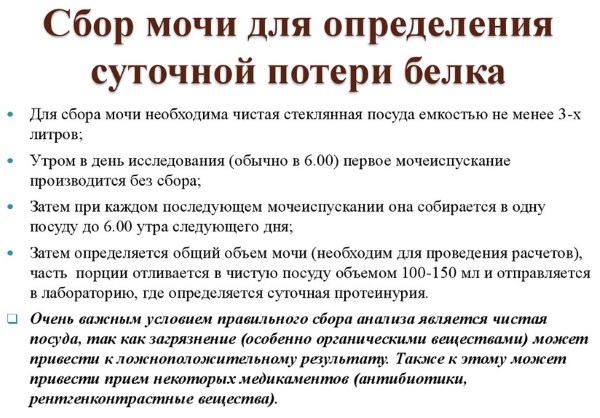 Суточная протеинурия. Что это такое, как сдавать анализ, норма у детей, беременных женщин