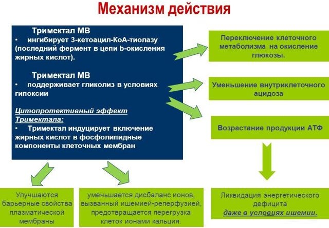 Три-зидин М. Инструкция, показания к применению, аналоги, цена, отзывы