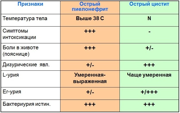 Воспаление мочевыводящих путей у женщин. Симптомы, лечение народными средствами, лекарства