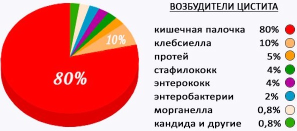 Воспаление мочевыводящих путей у женщин. Симптомы, лечение народными средствами, лекарства