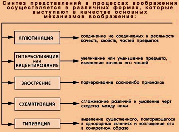 Агглютинация в психологии. Что это такое, определение, примеры