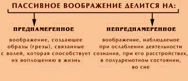 Агглютинация в психологии. Что это такое, определение, примеры