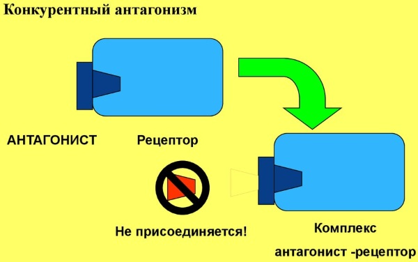 Микробного антагонизма схема