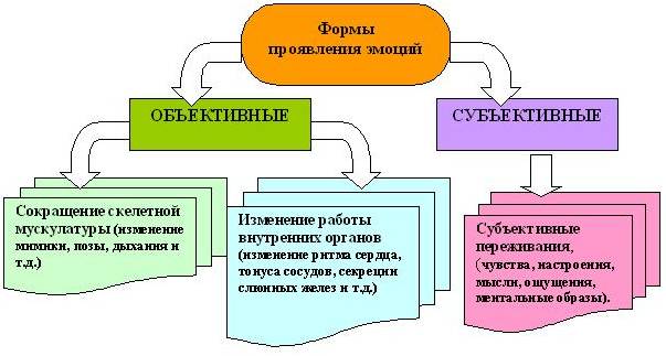 Эмоциональное состояние в психологии. Что это, определение, примеры