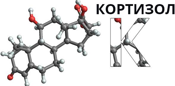 Гормон Кортизол. За что отвечает в организме человека, где вырабатывается