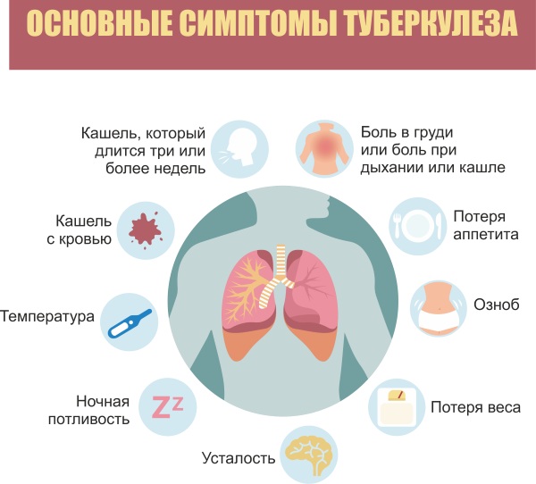 Как провериться на туберкулез взрослому человеку. Анализ по крови, Инвитро, гемотест