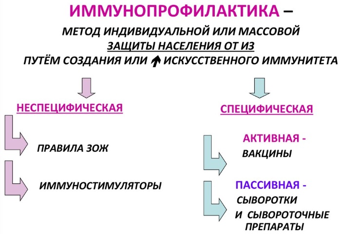 Иммунопрофилактика. Что такое, значение, цель, принципы проведения