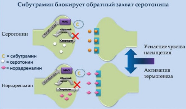 Эффективные капсулы для похудения. Рейтинг, отзывы