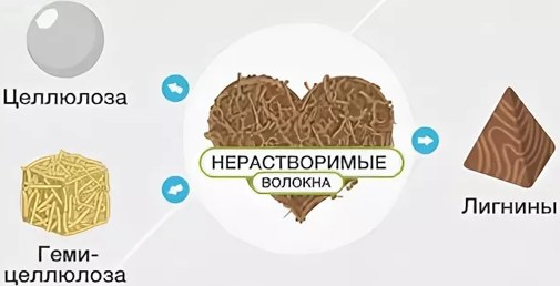 Продукты для хорошего пищеварения и стула