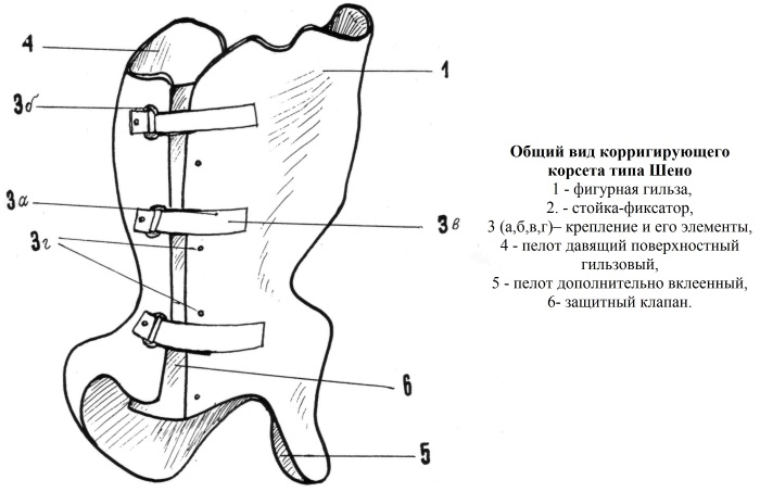 Корсет шено для позвоночника фото