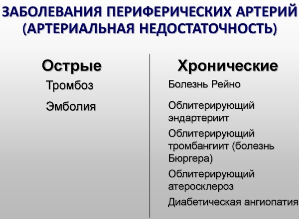 Кровеносные сосуды человека. Схема системы кровообращения, анатомия