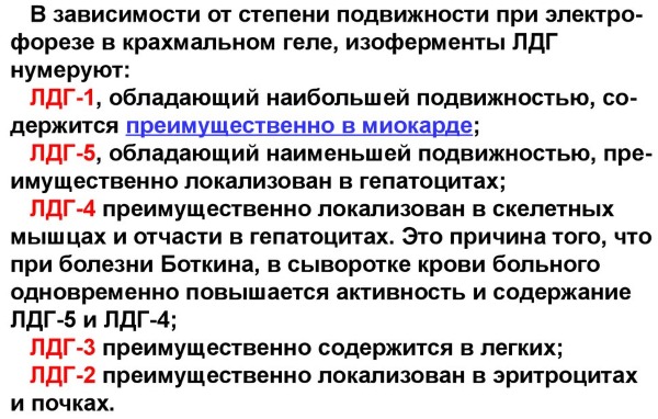 Ldh в биохимическом анализе крови. Что это такое, норма, повышен, понижен у мужчин, женщин