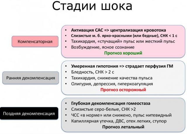 ПМП при травматическом шоке. Презентация, алгоритм, причины