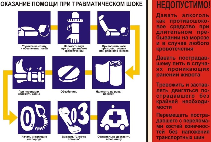 ПМП при травматическом шоке. Презентация, алгоритм, причины