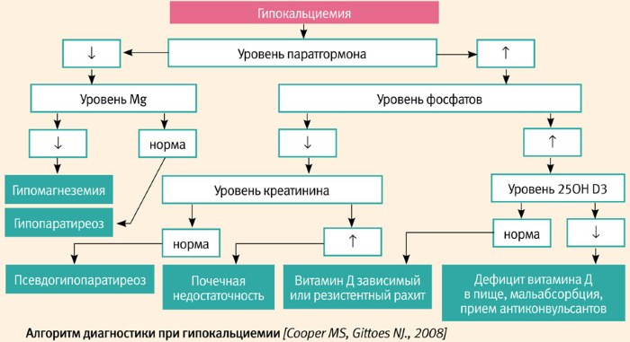 Симптом Хвостека и Труссо. Что это такое у взрослых, детей